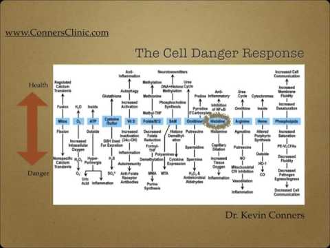 Cell Danger 201 - Dr. Kevin Conners