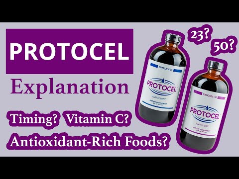 Protocel Explanation - Timing Protocol, Vitamin C, &amp; Antioxidant-Rich Foods | Conners Clinic Cancer