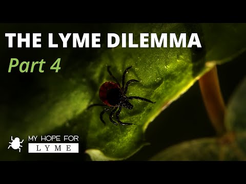 The Lyme Dilemma - Part 4 - Dr. Kevin Conners | Conners Clinic