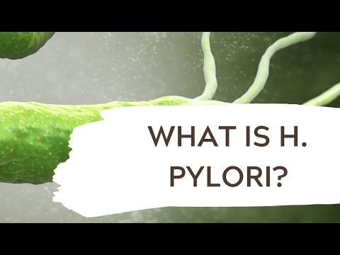 What is H. pylori &amp; why does it matter? #holistichealth