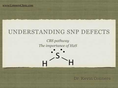 Understanding SNP Defects | Dr. Kevin Conners - Conners Clinic