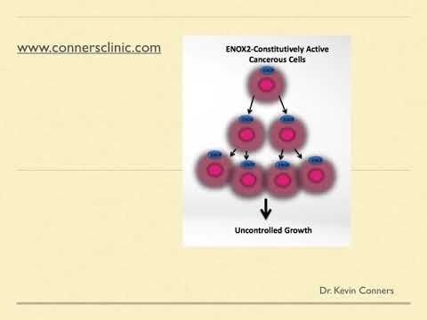 Dr. Kevin Conners - ENOX2 inhibition - A Novel Approach to Cancer