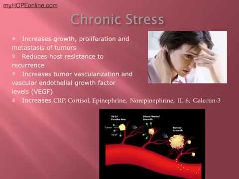 Cancer Class 9 Stress and Cancer - Dr. Kevin Conners