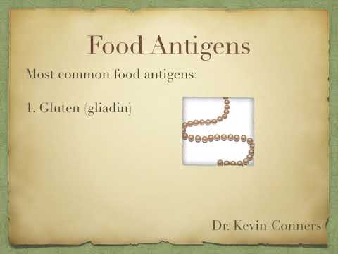 Dr. Kevin Conners - Cancer and Food Antigens