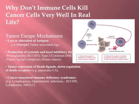 Cancer Class 10 Cancer and Immune System Dr. Kevin Conners