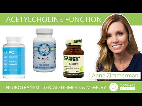 Acetylcholine Function, Neurotransmitter, Alzheimer&#039;s &amp; Memory - Conners Clinic Supplements