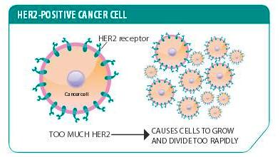Cancer and Haelin 951