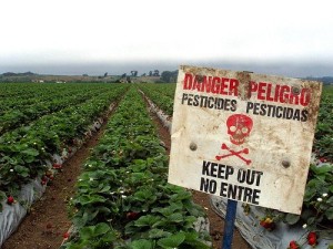 Pesticides Killing our BRAINS