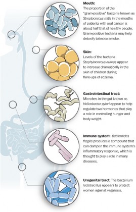w-Microbes-graphicstory-269x420