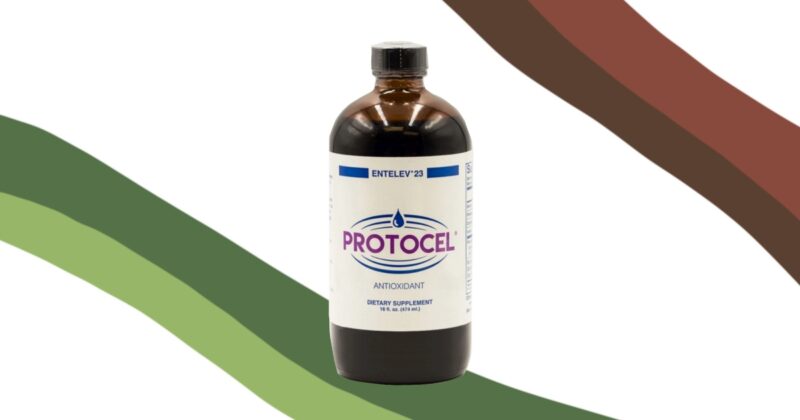 protocel-the-successful-alternative-to-chemotherapy-cancer-conners-clinic